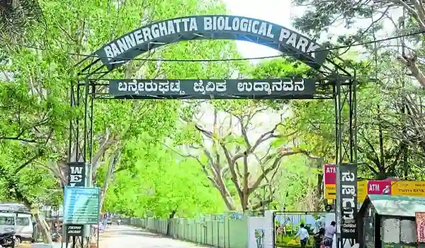 nature-living-at-bannerghatta-national-park-edge